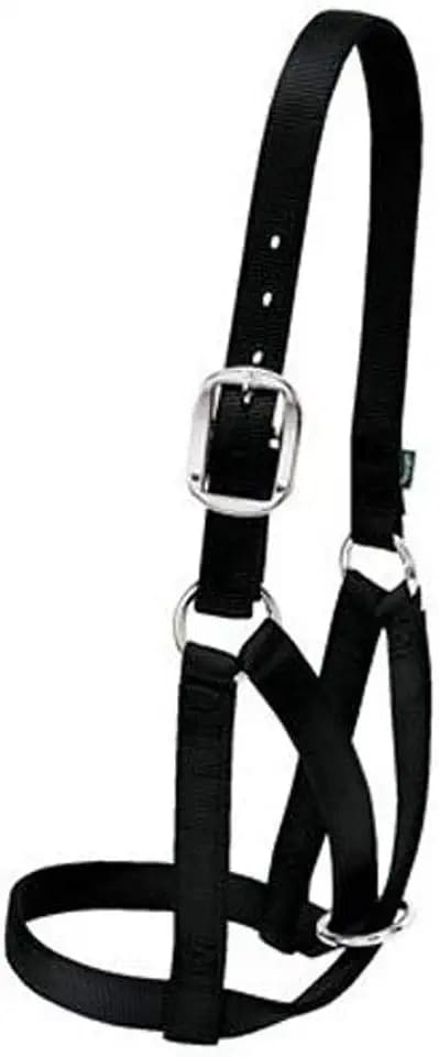 Weaver Livestock Barn Cow Buckle Cattle Halter, Adjustable, Modern Style Cow Calf Halter, Livestock Handling Equipment for Showing, Black