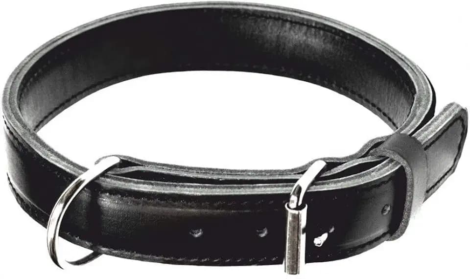 Dingo Gear Hundehalsband Leder MAX Extrem stark und langlebig Schwarz Große 56-64 cm S04032