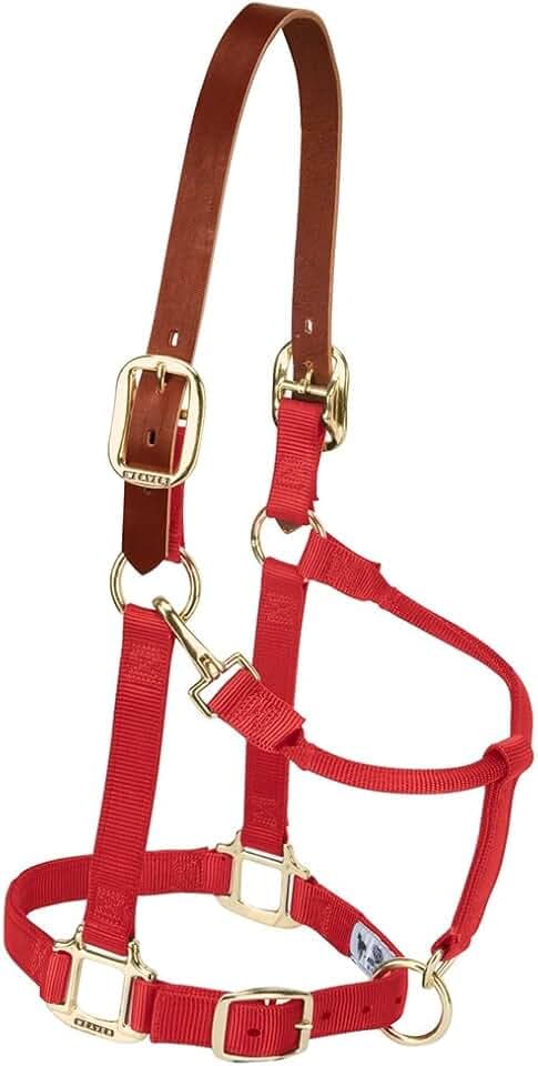Weaver Equine Breakaway Horse Halter, Supple Leather Crown, Adjustable Brass Throat Snap Halters for Horses, Equine Tack