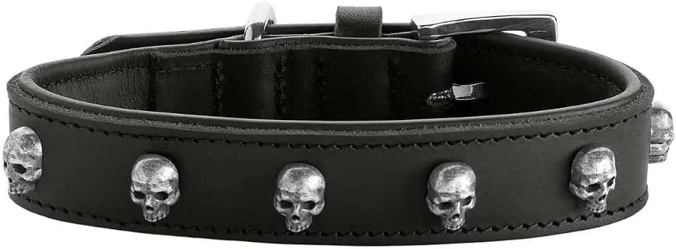 HUNTER Hundehalsband Tijuana, Farbe: schwarz, hochwertiges Rindsleder, weich unterlegt, fellschonend, Handarbeit, dekorative Totenköpfe, robust & modisch, Made in Germany, Größe: 40