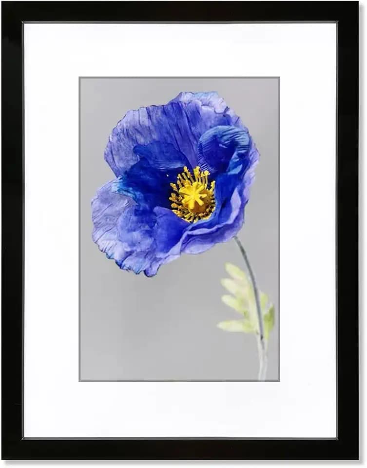 VNVNK 14x20 Frame with 12x16 Mat Black Picture Frame Home Decor-1PCS