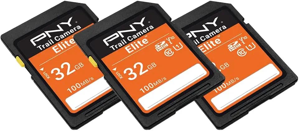 PNY 32GB Elite Class 10 U1 V10 SDHC Trail Camera Flash Memory Read Up to 100MB/s, UHS-I, HD Photo & Video, Outdoor Camera, DSLR Camera, Tactile Use, Wildlife Enthusiasts, 3-Pack (Packaging May Vary)