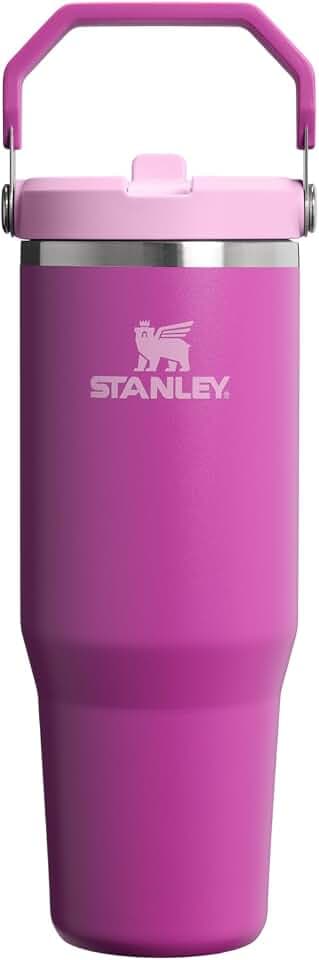 STANLEY IceFlow 2.0 Klapp-Strohhalm Becher mit Henkel 30 Unzen | Drehverschluss und aufklappbarer Strohhalm | Auslaufsichere Wasserflasche | Isolierter Edelstahl | BPA-frei | Dunkelblüte