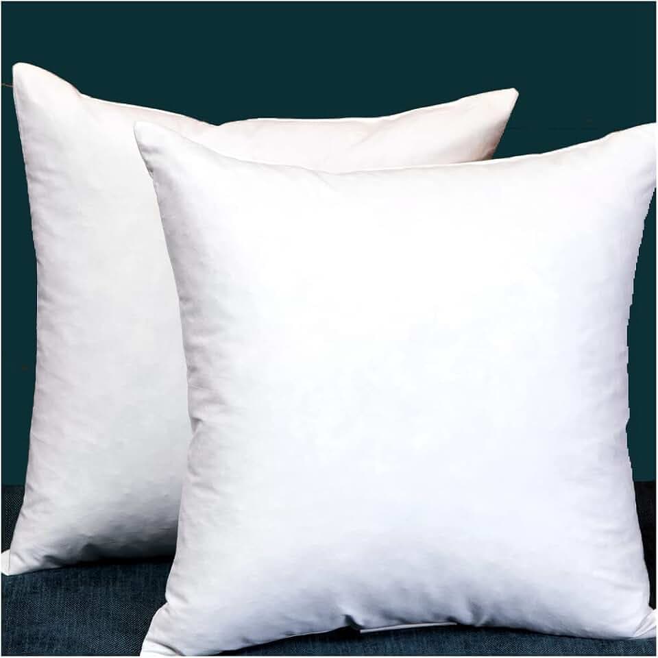 Set of 2, Square Decorative Throw Pillows Inserts Down and Feather Pillow Insert, Cotton Fabric, 24 X 24 Inches