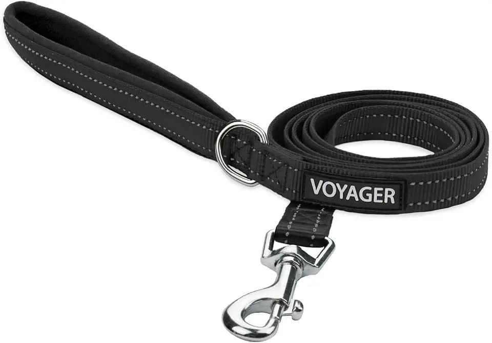 Best Pet Supplies Voyager Nylon Dog Leash - Black, Small