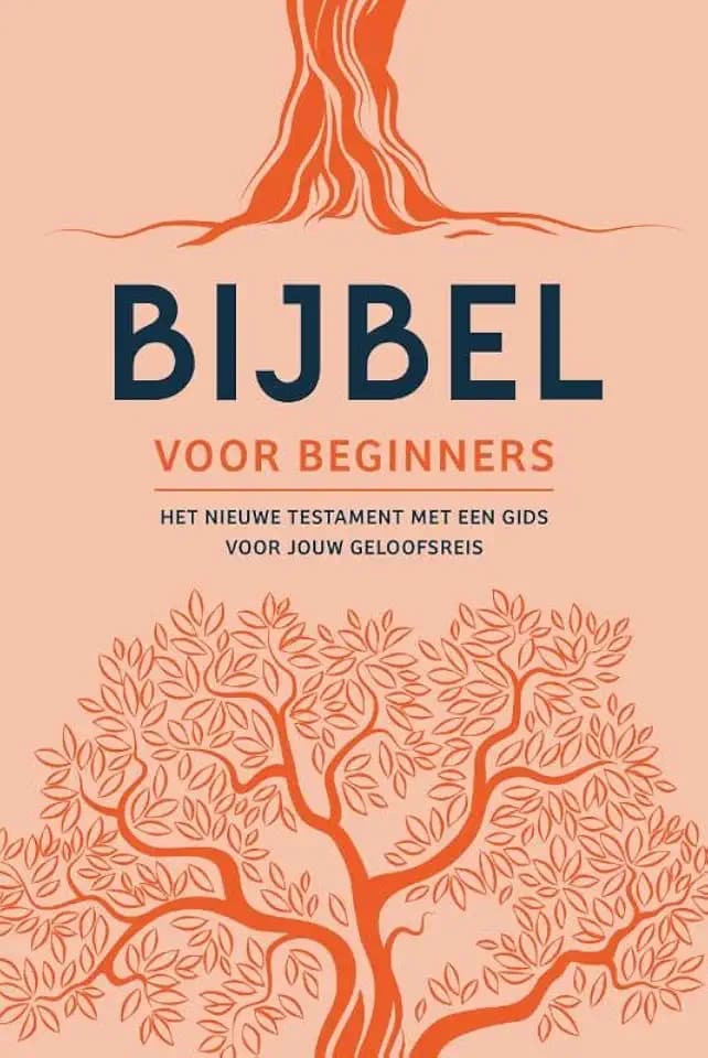 Bijbel voor beginners: het Nieuwe Testament met een gids voor jouw geloofsreis