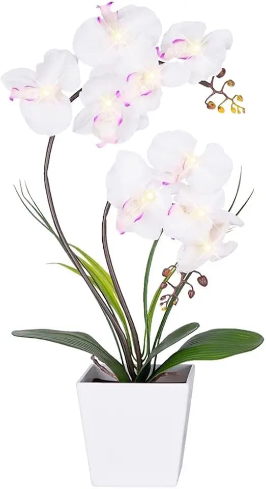 HOMESEASONS Orchid Lamp-LED Lighted Orchid Arrangements,Pre Lit Artificial Orchid,Light Up Flower Lights, Faux Orchid Phalaenopsis Arrangement (White)