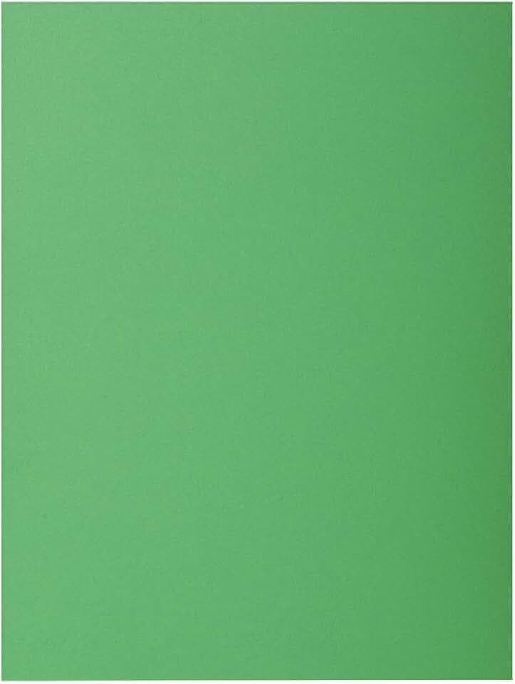 Exacompta - Ref 210004E – Rocks Quadratische Schnittmappe, 240 x 320 mm, geeignet für A4-Dokumente, 210 g/m², farbiger Karton, Dunkelgrün, 100 Stück