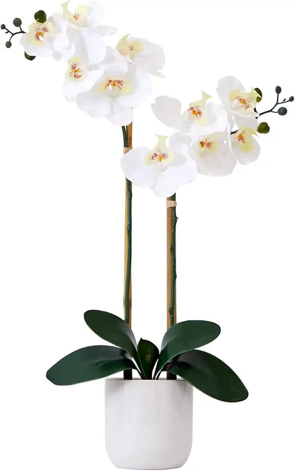 Nearly Natural 26 in Artificial Double Phalaenopsis Orchid with Vase