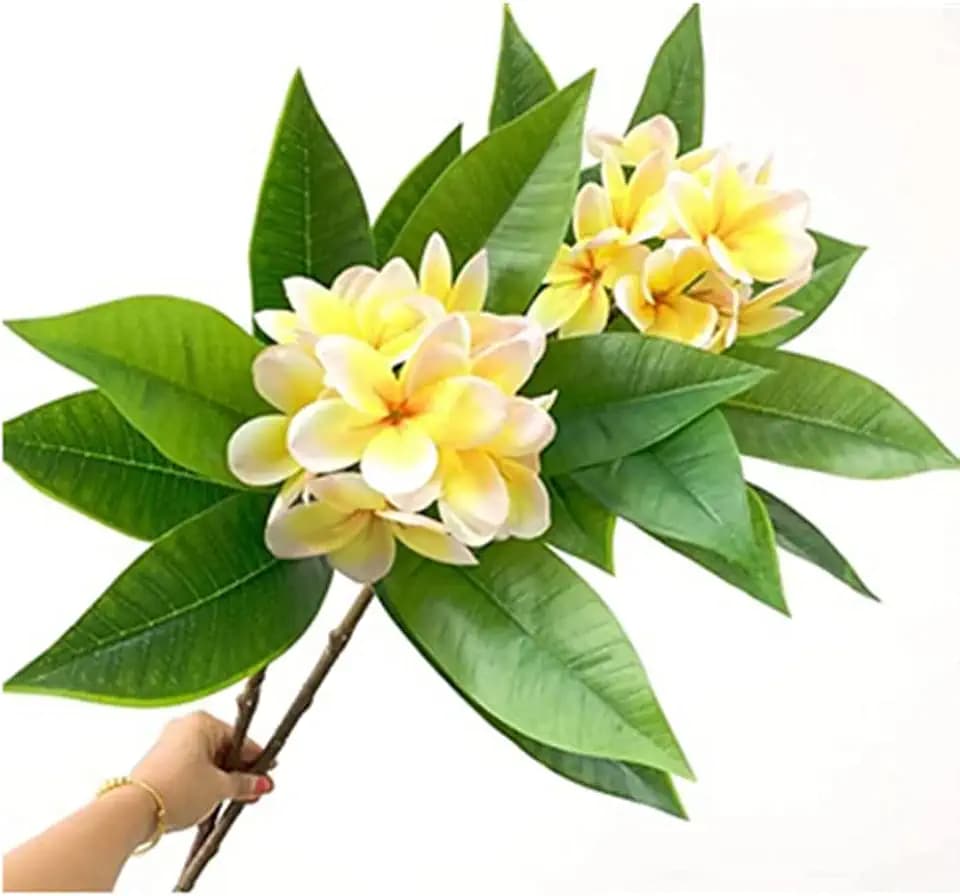 OUKEYI 35.5 Inch Artificial Flowers Artificial Frangipani Flower Lifelike Real Touch Artificial Plumeria Flowers for Home Party Wedding Bouquet Home Decoration (Yellow) 2 Pack