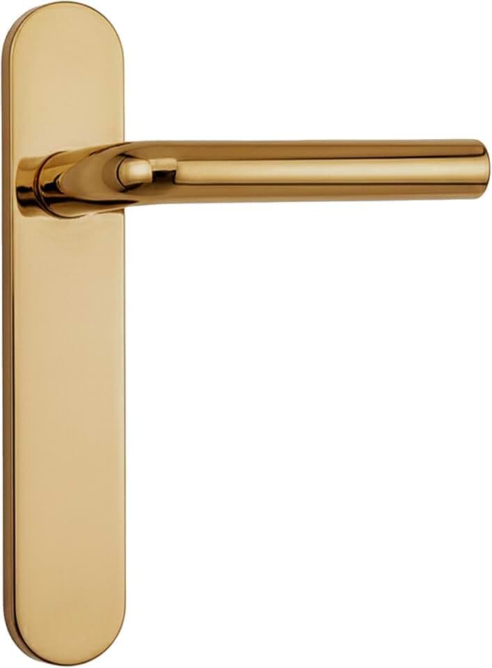 Micel - 05755 Türgriff-Set mit gebogener Winkelplatte und Edelstahlgriff, goldfarben, PVD, 225 x 138 x 66 mm