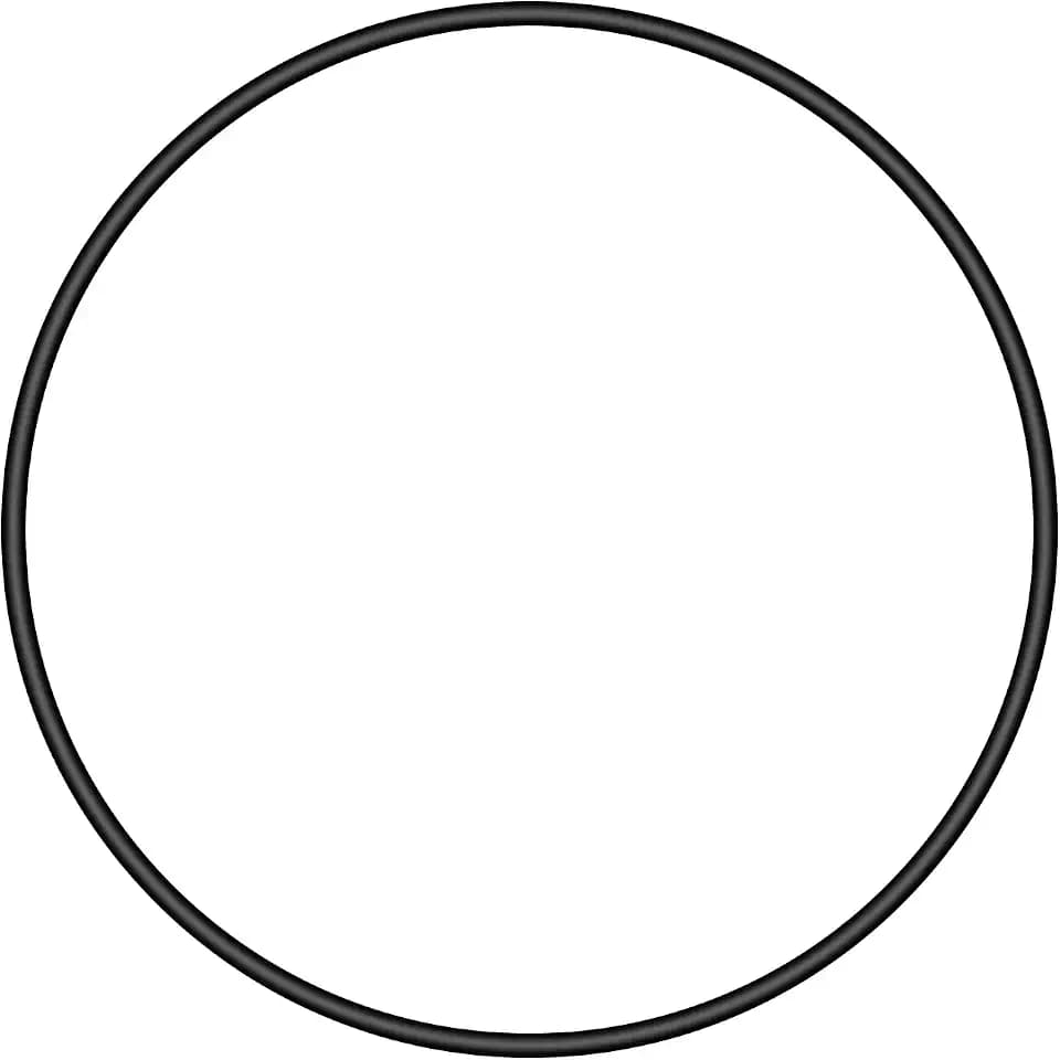 R0446300 Backplate O-Ring Replaces O-521 Compatible with Zodiac Jandy Pool and Spa Pumps ePump, Stealth, PlusHP, Waterfall, MaxHP, and WaterFeature Series