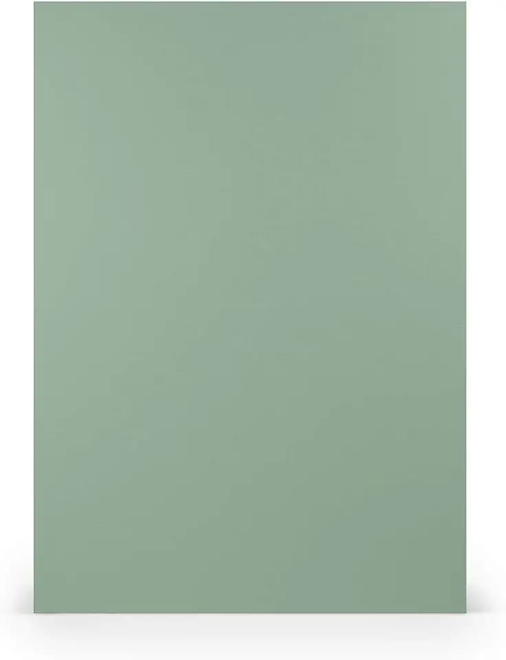 PAPERADO 50x Tonpapier DIN A4 - Eucalyptus gerippt Grün 160 g/m² Papierbögen - Bastelpapier in 29,7 x 21 cm Malen, Basteln & Drucken