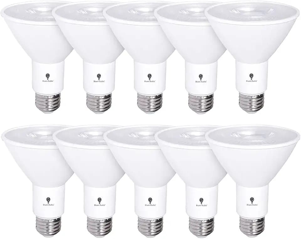 10 Pack PAR30 Outdoor LED Flood Light Bulb 12W 100 Watt Equivalent 900 Lumens Dimmable Waterproof E26 5000K Daylight LED Flood Light Bulbs for Security Led Spotlight Bulb Led Recessed Light Bulbs