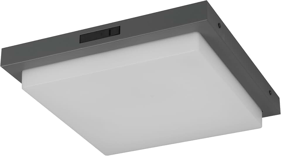 Trio Leuchten LED Außen Hausnummerleuchte Bermejo 630369242, Aluminium Druckguss Anthrazit, Kunststoff weiß, inkl. 14 Watt LED, Bewegungssensor, Lichtfarbe einstellbar