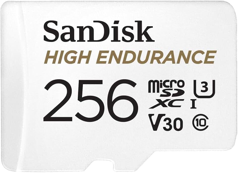 SanDisk High Endurance microSDXC Speicherkarte 256 GB + Adapter (Für Dash-Cams und private Überwachungskameras, 100 MB/s Lesen, V30 für Full-HD und 4K-Videos)