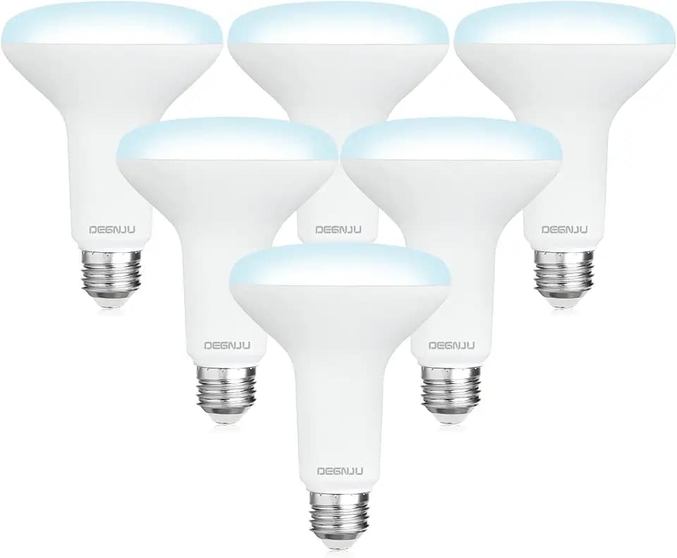 DEGNJU BR30 LED Bulb, Dimmable Flood Lights Indoor CRI80 7W Equivalent 65W 5000K Daylight 650 Lumens, 15000 Lifetime Hours Recessed Light Bulbs, Interior E26 Base LED Can Light Bulbs, 6 Pack