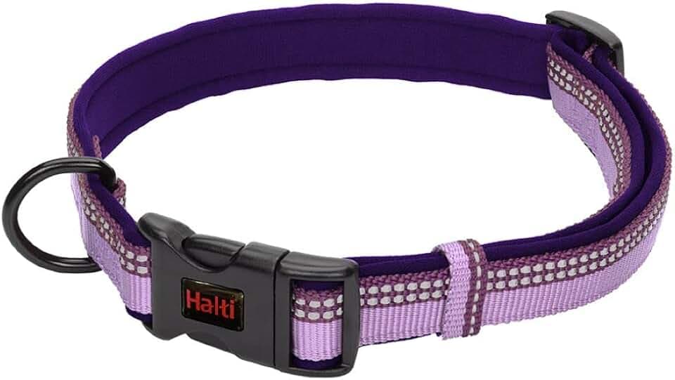 Halti Hundehalsband | Größe M, Lila