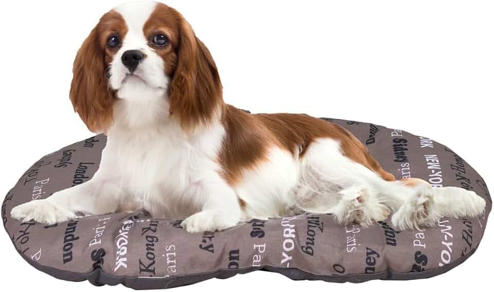 FERPLAST - Cuccia per cani e gatti - Cuscino per cani di medie dimensioni - Materassino per cani - Tappetino per cucce e auto - Morbido letto per cani - Relax, 65 x 42 CM, MARRONE