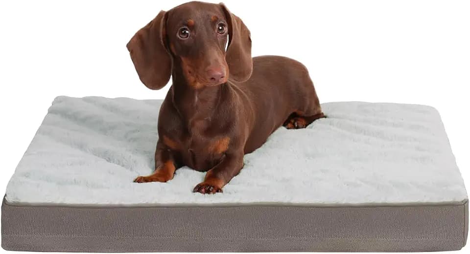 KSIIA Orthopedic Dog Bed for Small Dogs with Waterproof Lining, Grey, 21x13