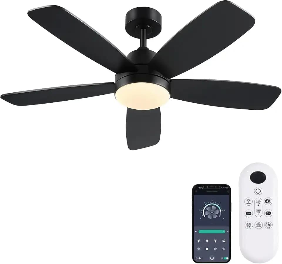 Ceiling Fans with Lights, Low Profile Indoor/Outdoor Use (42 Inch Black )