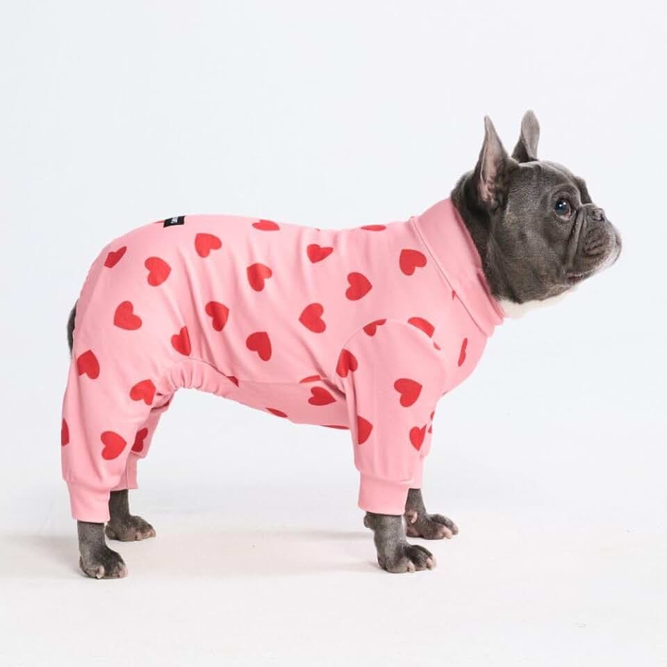 Spark Paws Dog Pajamas - Stretch Onesie Recovery Full Leg Surgery Suit PJS