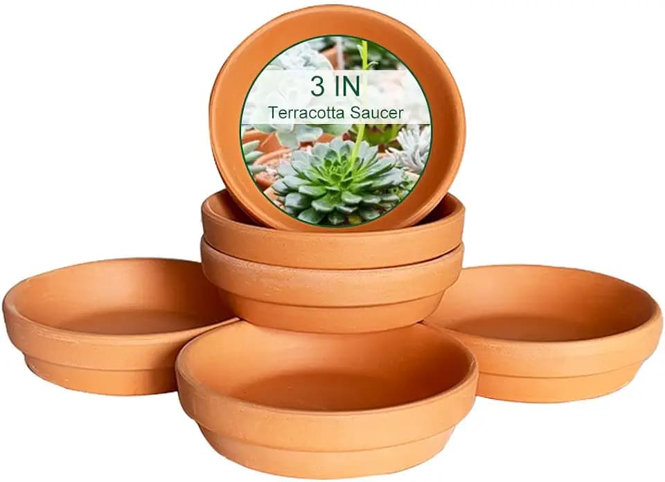 3.5 Inch Terracotta Plant Saucer - 6 Pcs Mini Terra Cotta Saucer for Indoor & Outdoor Plants, Plant Drip Trays Perfect for 2 Inch 2.5 Inch Flower Pots