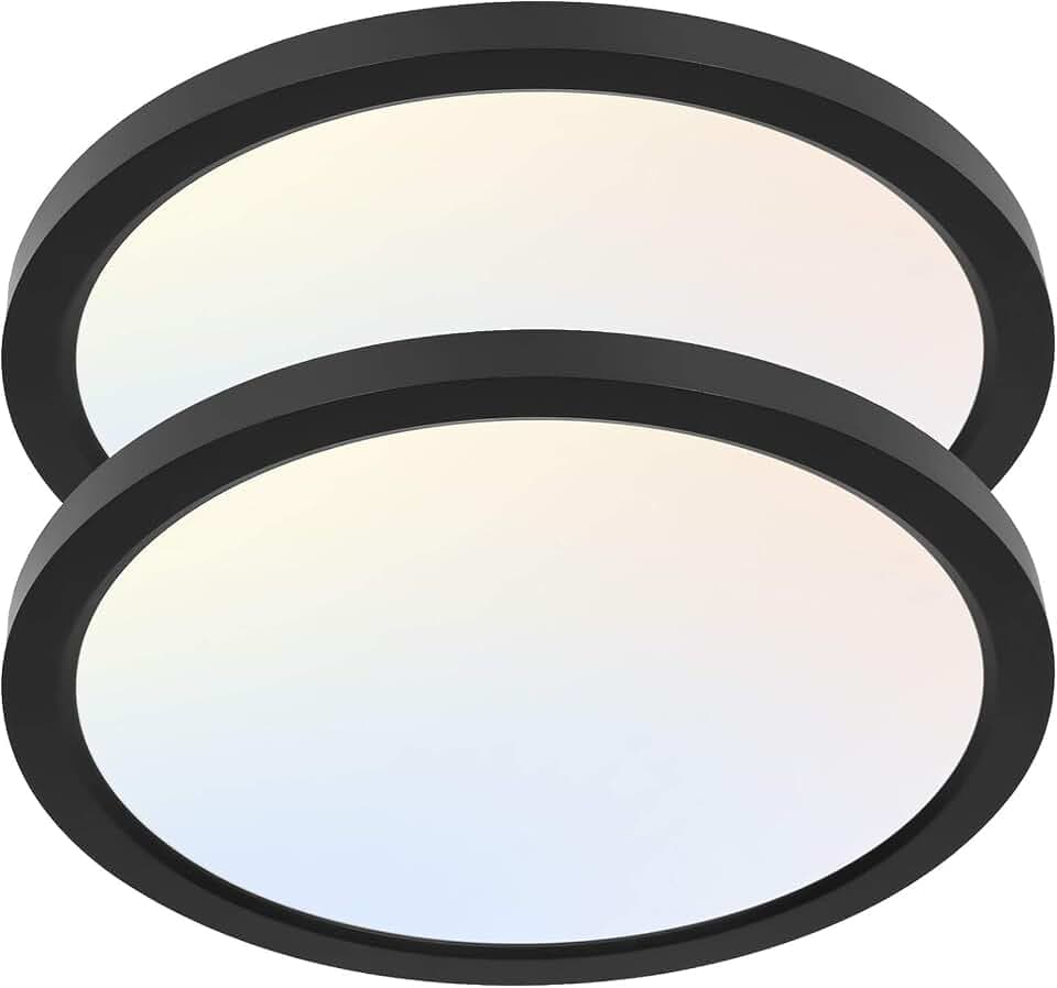 hykolity 12 Inch Selectable CCT LED Round Flat Panel Light,2 Pack