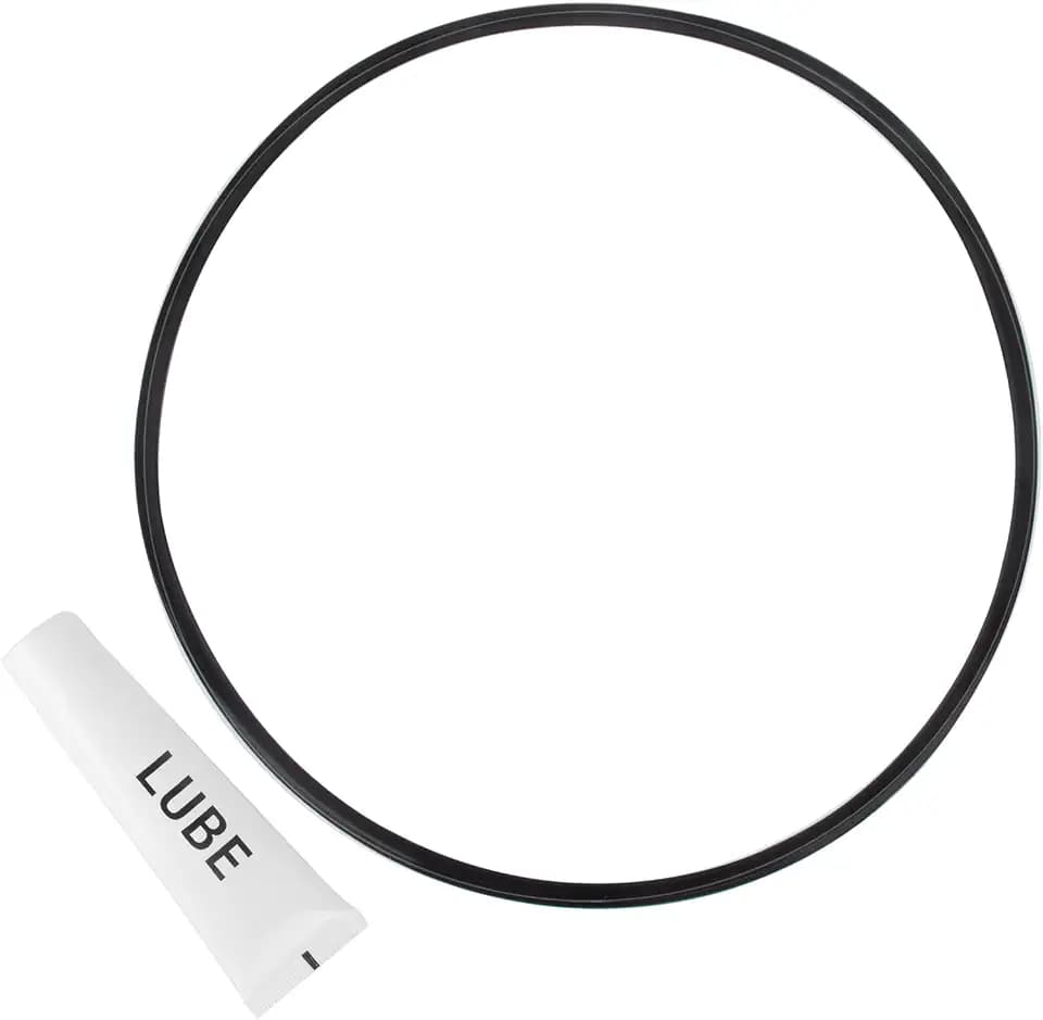 DEX2422Z2 Filter Seal O-Ring Gasket for Hayward Pool Pump Seal Kit