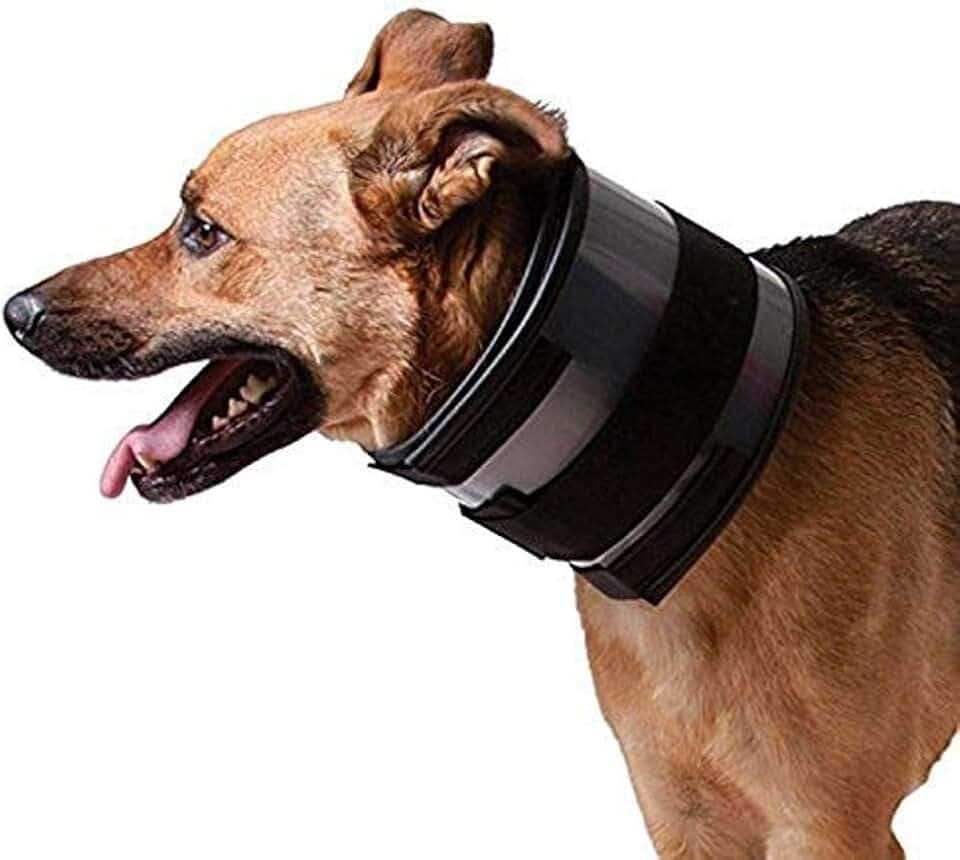 KVP Bissfreies Halsband für einen Halsumfang von 27,9–38,1 cm, 6,3 cm breit.