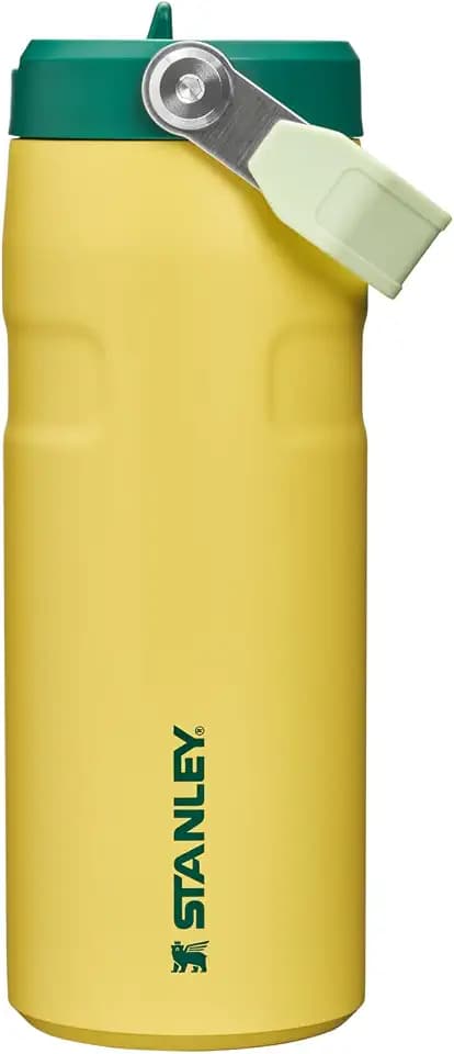 STANLEY IceFlow Flip Straw 2.0 Bottle, 16 oz, Daffodil Emerald