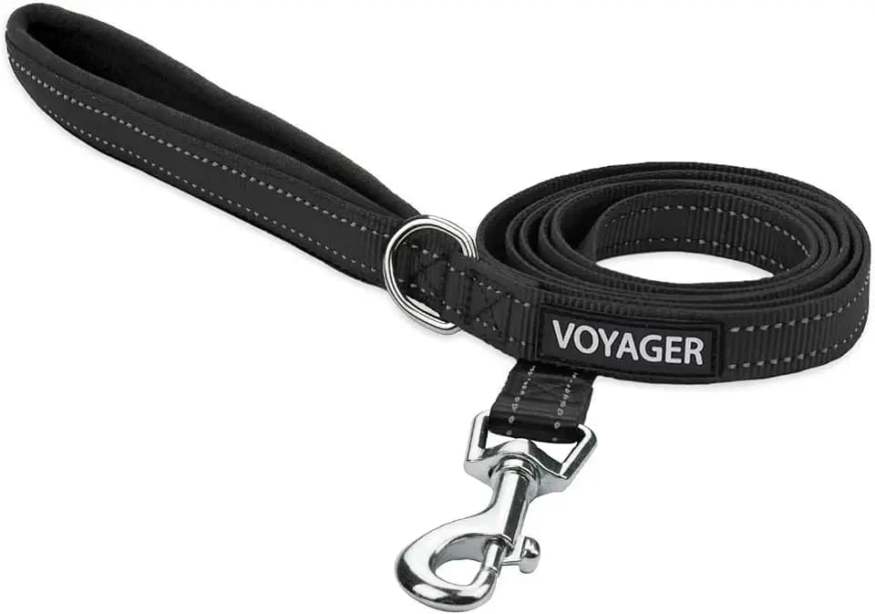 Best Pet Supplies Voyager Nylon Dog Leash - Black, Medium
