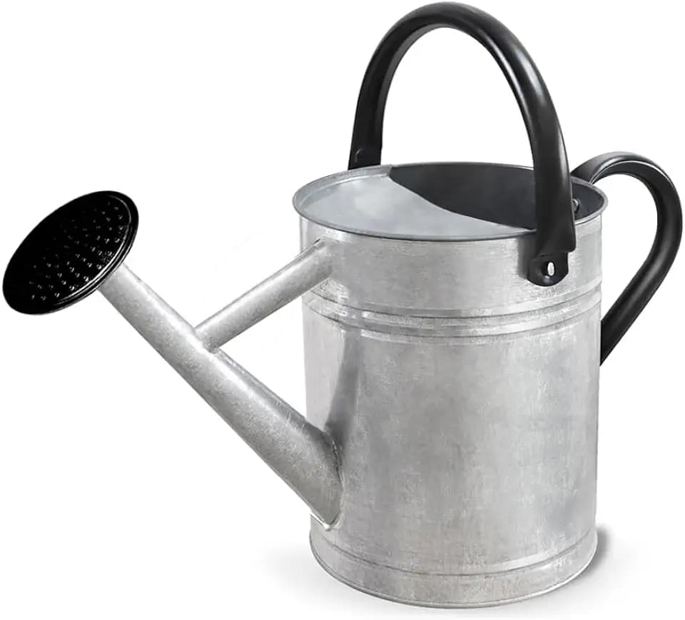 Metal Watering Can with Removable Spout, Galvanized Steel Plants Water Can for Women, Men and Kids' Outdoor or Indoor Gardening - Nice Flower Watering Pot Gift & Decoration (Zinc, 0.6 Gallon)