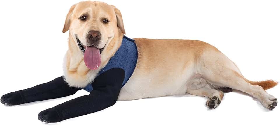 COODEO Hundesocken gegen Pfotenlecken | Wasserfeste Pfotenschutzstiefel mit rutschfesten Sohlen zur Wundheilung & Hautschutz (Blau, 2XL)