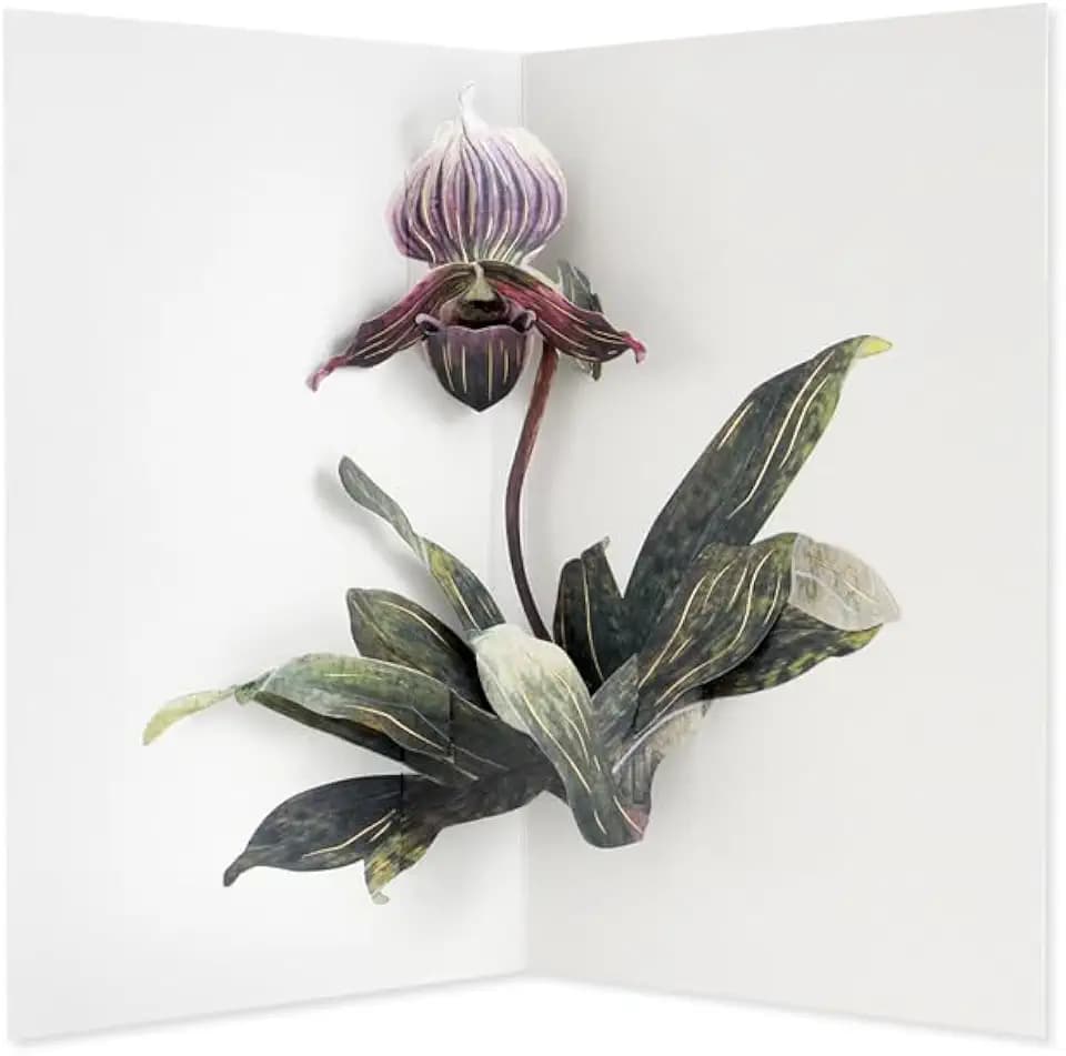 UWP LUXE Lady Slipper Orchid Pop-Up Card - Hiromi Takeda Design - Elegant Foil Debossed Flower Greeting Card - All Occasion, Thank You, Thinking of You, Mother's Day