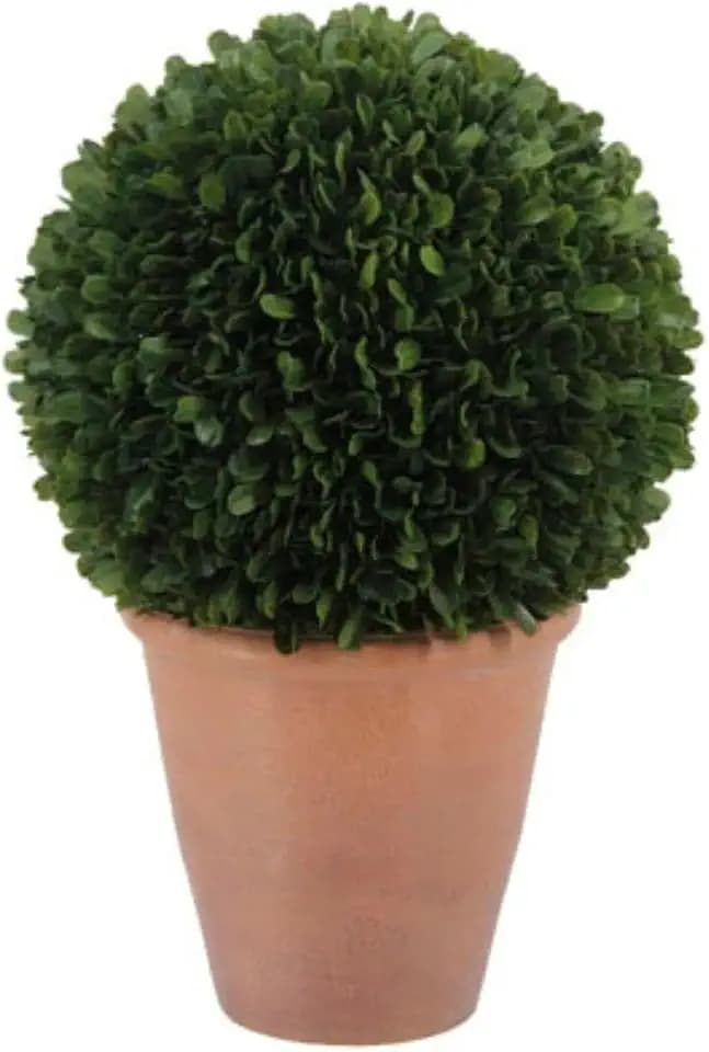 CG Hunter, Faux Round Boxwood Plant, 17 in, Home Decor