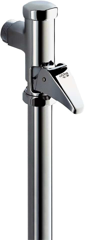 GROHE DAL, Automatic-Spüler für WC (mit Spülstromregulierung, für Flach- und Tiefspül-WC, 3/4", ohne Vorabsperrung, mit Betätigungskappe und Abgangsstutzen), chrom, 37139000