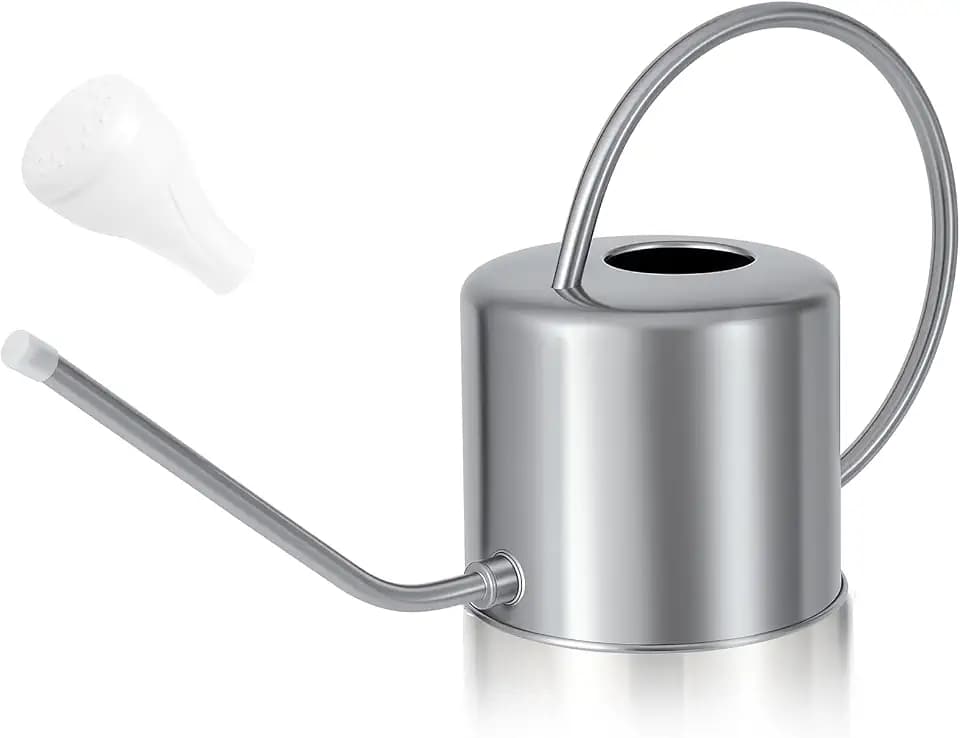 40oz Silver Stainless Steel Watering Can, Long Spout & Removable Sprayer