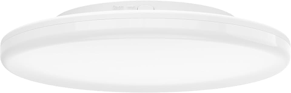EGLO LED Deckenlampe außen Castagneto, warmweiß - kaltweiß