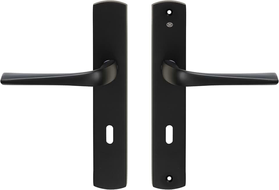 Bricard 879080 Türgriffe, Schwarz, matt, Zamack, auf eVidence-Platte, Innentür, 1 Paar