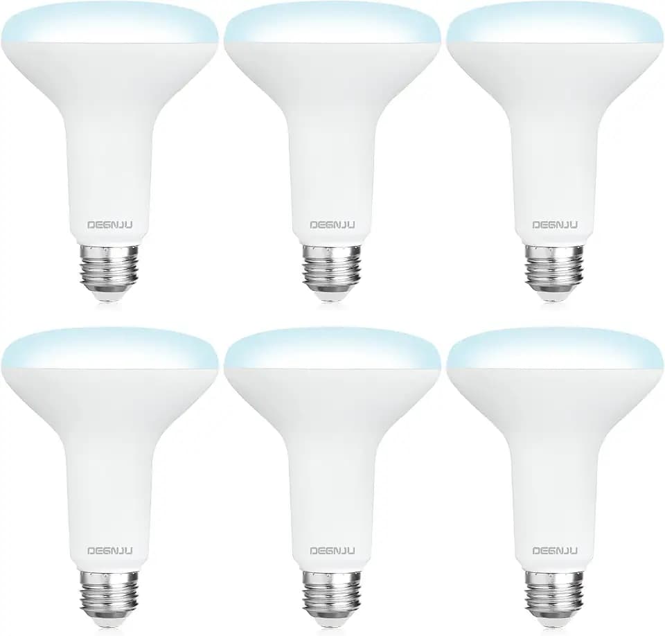 DEGNJU 6 Pack BR30 LED Recessed Light Bulb, Dimmable Indoor Flood Light Bulbs CRI80 7W Equivalent 65W 5000K Daylight 650 Lumens, 15000 Lifetime Hours E26 Base LED Can Light Bulb, Flicker-Free