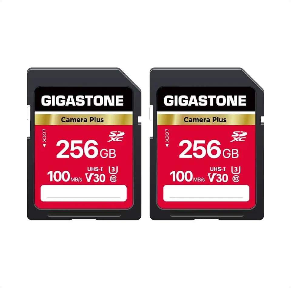GIGASTONE 256GB SD Card 2-Pack, Camera Plus, UHS-I V30 SDXC Memory Card High Speed UHD Video Speed up to 100MB/s, Compatible with Kodak Olympus Digital Camera, with 2 Mini Cases