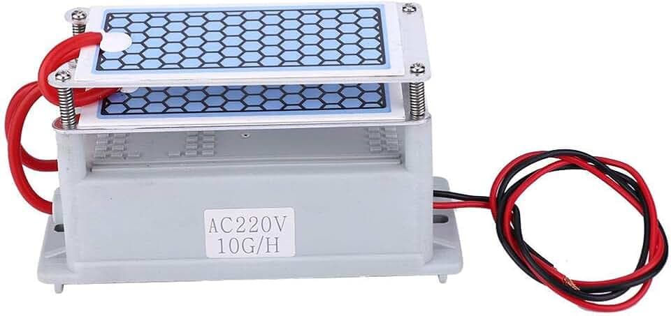 Ozongenerator 10 g Ozon Luftreiniger Geruchsentfernung Sterilisation für Haus Auto Büro 220V