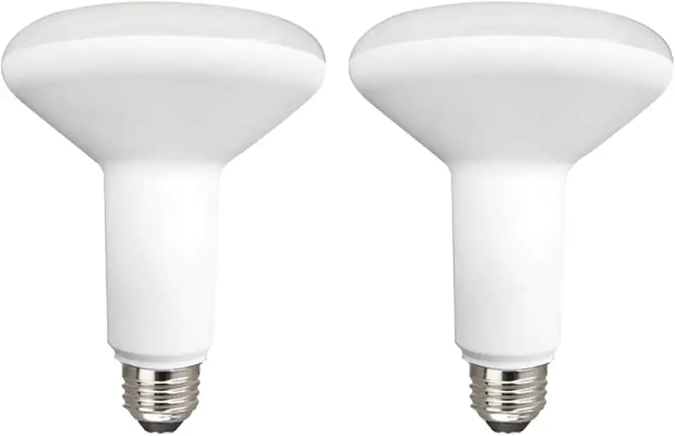 TCP L8BR30D1530K2 LED 65 Watt Equivalent Dimmable Light Bulbs, BR30 Shape, Floodlights, 2 Pack, Bright White (3000K), 2 Count