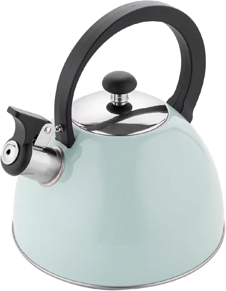 FLORINA Wasserkessel (2,5 l) I Edelstahl Teekessel BRILLO I Flötenkessel mit Bakelitgriff I Kratzfester I Wasserkocher für Induktionsherd, Gasherd und Elektroherd I Farbe: Minze