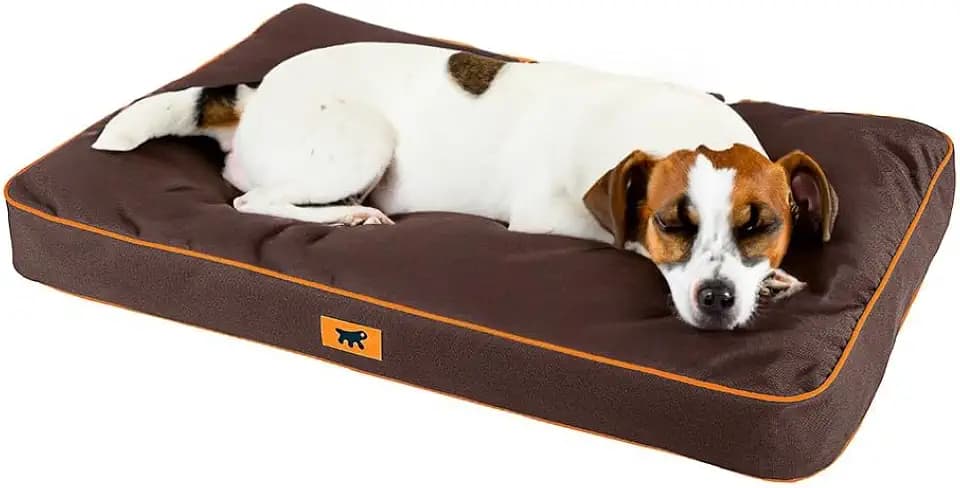 FERPLAST - Tappetino per Cani e Gatti - Cuccia Ortopedica per Cani Media - Materasso per Cani - Cuccia per Gatti - Impermeabile e Antigraffio - Polo, 80 x 50 x h 8 CM, MARRONE