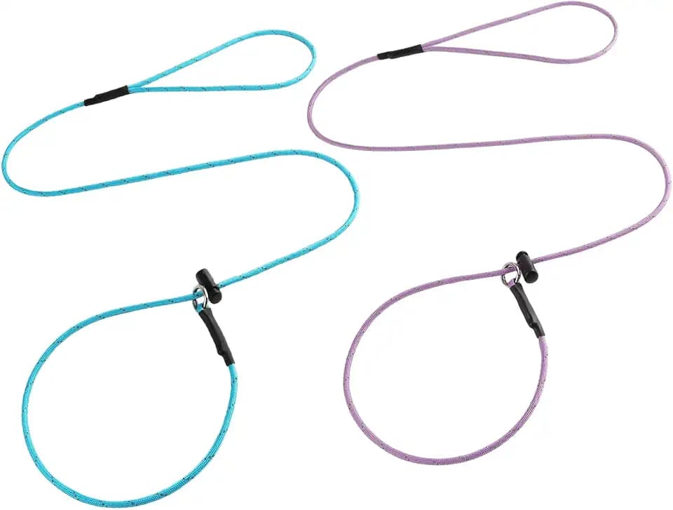 Reflective Slip Lead Leashes Puppy Training Lead – 4.3mm Paracord Rope with 12-Core Strength, 1000lb Pull Force Set of 2 for Small & Medium Dogs (Purple & Light Blue, 4 FT)