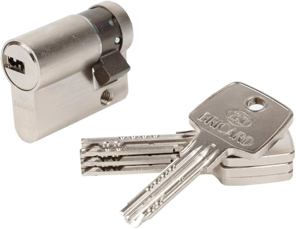 BRICARD ? Zylinder doppelten Schutz Astral 30 ? 10 mm mit 4 Schlüssel wendbar doppelt gezahnte Klinge