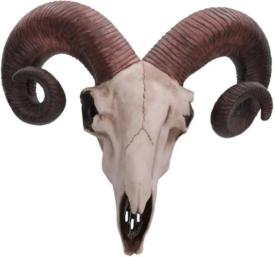 Nemesis Now Widder-Totenkopf-Wandschild, mittelgroß, 32,5 cm, Elfenbeinfarben, Kunstharz, Einheitsgröße