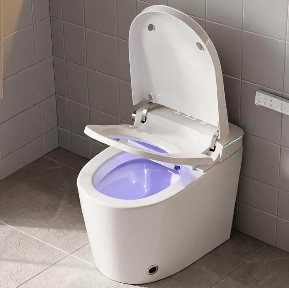 Smart Toilet